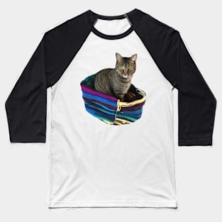 Kitty in a Basket Baseball T-Shirt